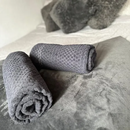 Apartament Le Madrid Spacieux 4 Pieces Parking Privee