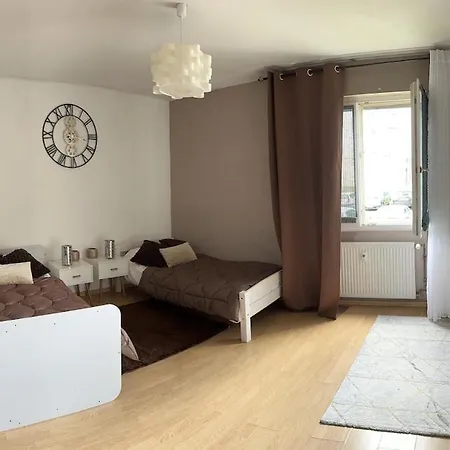Appartamento Spacieux 4 Pièces Parking Privé Navette Gare-aeroport Colmar