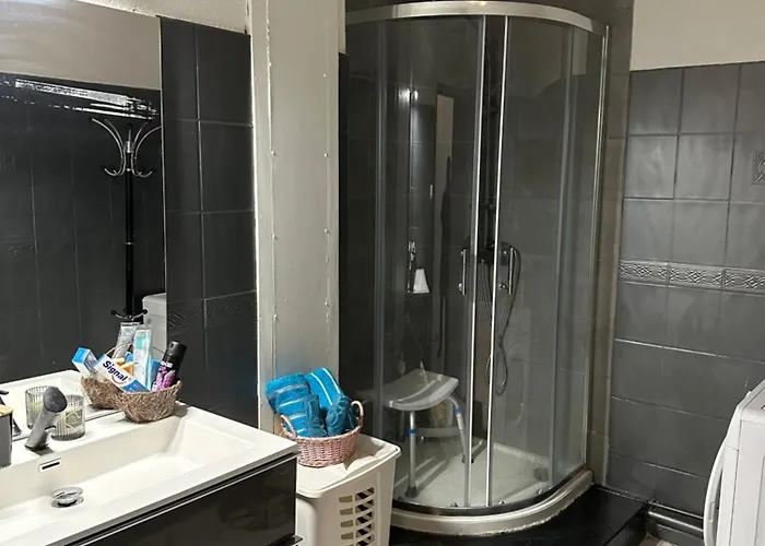 Le Madrid Spacieux 4 Pieces Parking Privee アパート コルマール